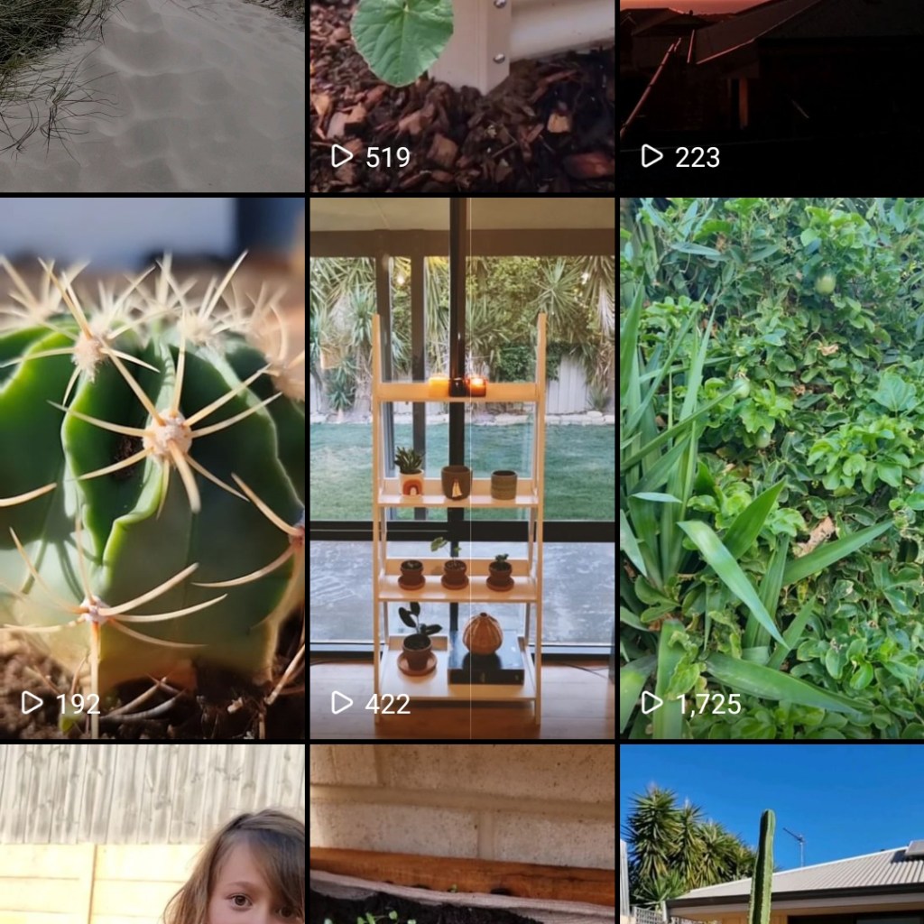 a reel-y social experiment