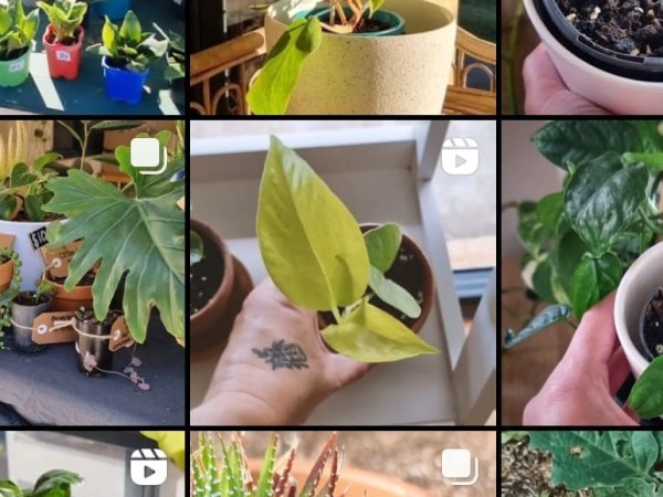 instagram insights for&nbsp;april